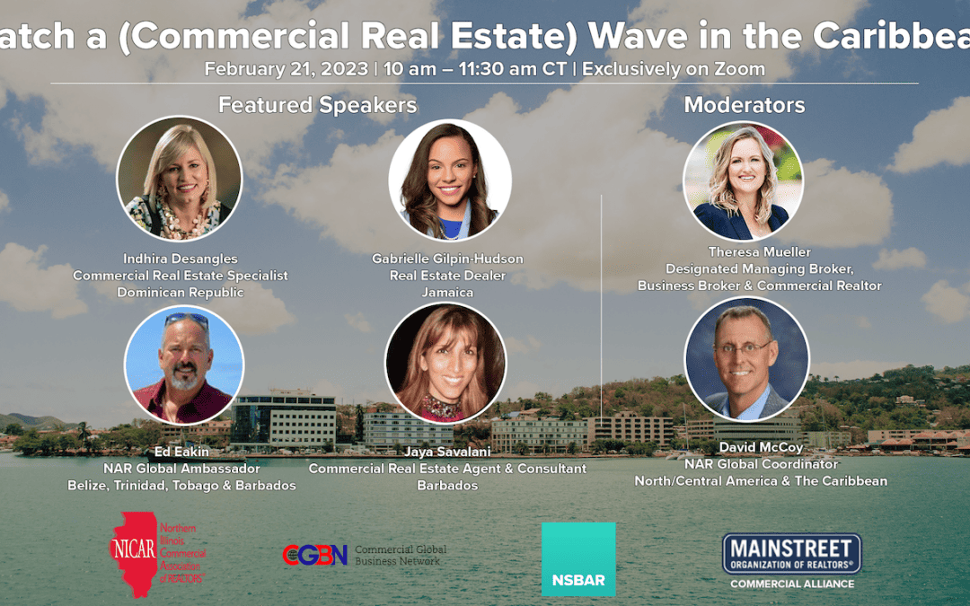 Catch a (Commercial Real Estate) Wave in the Caribbean